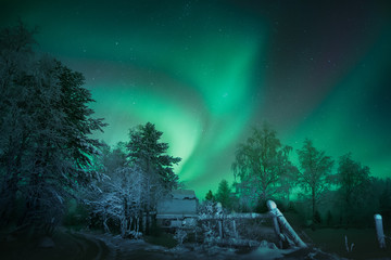 northern lights aurora borealis