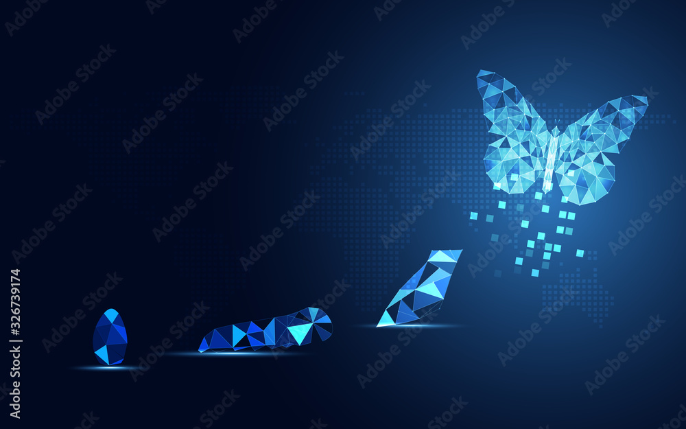 Abstract Business digital transformation innovative of butterfly life cycle evolution blue background. Renewal and Powerful transformation metamorphosis concept. Lightness of being and playfulness - obrazy, fototapety, plakaty 