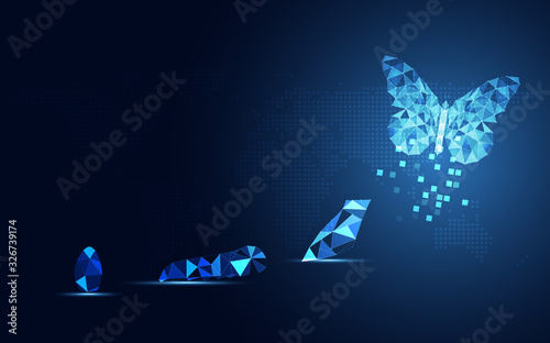 Cuadros en Lienzo Abstract Business digital transformation innovative of butterfly life cycle evolution blue background