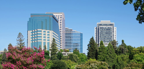 City high riser corporate buildings under blue sky with trees in the foreground