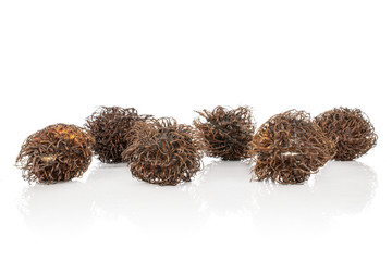 Poster - Group of six whole old brown rambutan isolated on white background