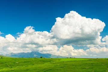 Wall Mural - Beautiful cloud over the lush green field of Armenia against the backdrop of high mountains