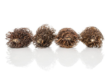 Poster - Group of four whole old brown rambutan isolated on white background