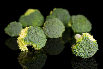 Group of seven whole fresh green broccoli head isolated on black glass