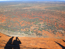 View At The Outback From Uluru (Ayers Rock) Uluru-Kata Tjuta National Park Northern Territory Australia
