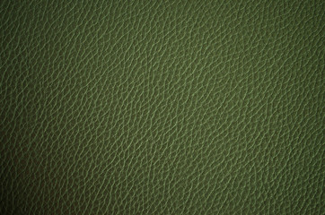 Leather texture close up. Green fashionable background, top view. Stylish wallpaper of snake skin. Rough surface.