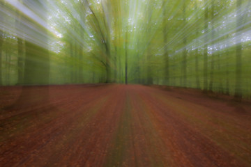 summar forest on a bright sunny day. Abstract photo. Colorful textured background. long shutter speed.