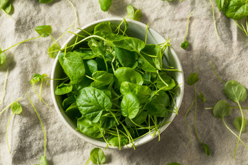 Raw Green Organic Watercress