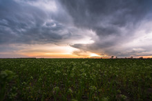 Stormy Sunset Over Green Field In Summer
