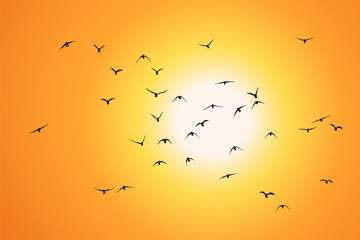 Wall Mural - silhouette of a flock of flying birds