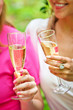 two girls clink glasses of champagne in close-up at a picnic in the garden