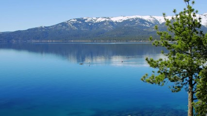 Wall Mural - Paddle boarding and kayaking across turquoise waters in Lake Tahoe, 4k