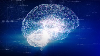 Poster - Human brain from triangles, points and faces