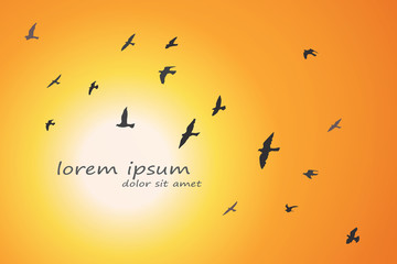 Wall Mural - silhouette of a flock of flying birds