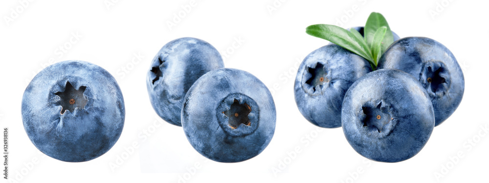 Blueberry isolated. Blueberry on white. Bilberry. Bilberry on white background. - obrazy, fototapety, plakaty 