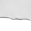 © naiauss - ripped paper isolated on white background
