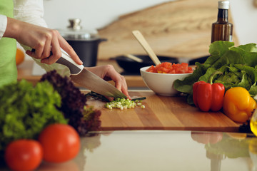 Unknown human hands cooking in kitchen. Woman slicing green onion. Healthy meal, and vegetarian food concept