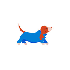 Wall Mural - Funny cartoon style icon of basset hound in overalls for different design. Cute family dog.