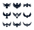 Isolated eagle bird silhouette style icon set vector design