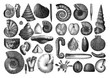Shells fosil collection/ Antique engraved illustration from Brockhaus Konversations - Lexikon 1908