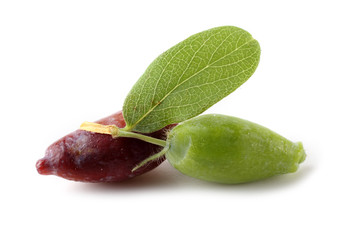 Canvas Print - Honeyberry isolated on white. Ripe and unripe berries