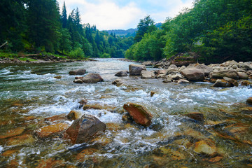 landscape, beautiful view of mountain river in summer day, fast flowing water and rocks, wild nature