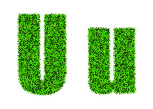 Green grass font. The letter U. Lawn texture alphabet on white background.