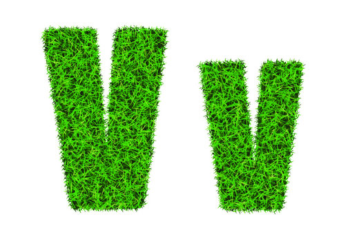 Green grass font. The letter V. Lawn texture alphabet on white background.