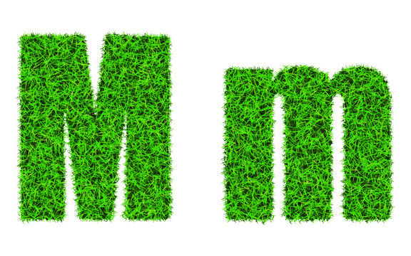 Green grass font. The letter M. Lawn texture alphabet on white background.