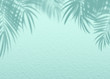 Mint Blue cement texture wall leaf plant shadow background.Summer tropical travel beach with minimal concept. Flat lay pastel color palm nature .