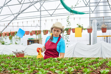 woman florist watering indoor plants in the winter garden