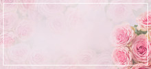 Flower Frame, Banner. Delicate Card With Pink Roses On A Soft White And Pink Background. Space For Text.