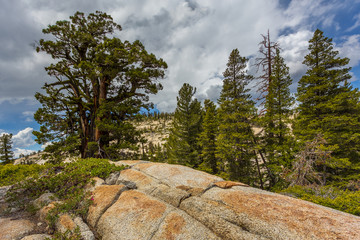 View of the Lembert Dome, California, USA.