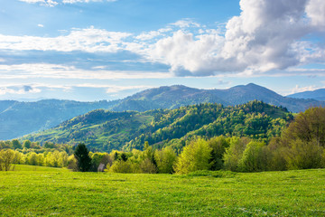 gorgeous rural landscape in mountains. fields and meadows on hills rolling in to the distant ridge. 