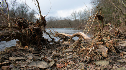 A Large Fallen Tree Branch Surrounded by Foliage on a Small Island of Rocks with a waterfall from a dam in the background