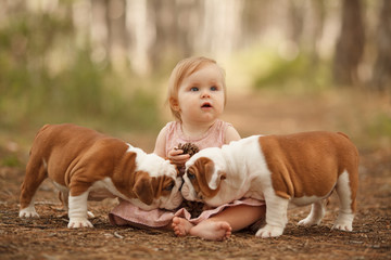 Wall Mural - Cute little baby with two English bulldog puppies playing. Place for the inscription. Concept: relationships, happiness, family.