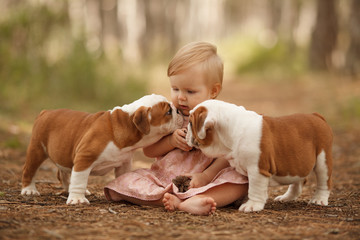 Wall Mural - Cute little baby with two English bulldog puppies playing. Place for the inscription. Concept: relationships, happiness, family.