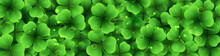 Vector Horizontal Border With Green Realistic Shamrocks. Seasonal Template With 3d Clovers And Blur Effect For Design Of Website Headers And Placard. Irish Background For Banner Of Saint Patrick’s Day