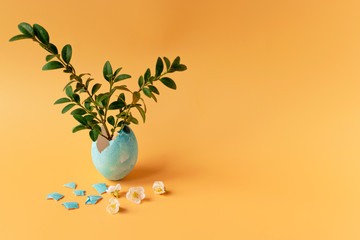 Colored eggs with spring green grass and flowering tree branch on an orange background. Easter holiday, family traditions. Easter eggs.