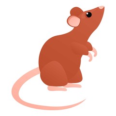 Wall Mural - Cute rat icon. Cartoon of cute rat vector icon for web design isolated on white background