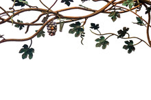 Metal Vine On A White Background Isolate