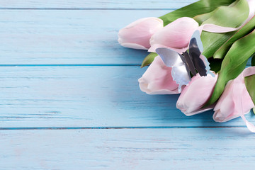 Wall Mural - Greeting holiday card with fresh tender pink tulips and craft butterfly on a pastel blue wooden background.