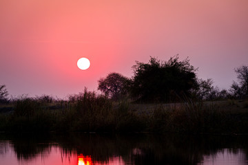 Wall Mural - Sonnenuntergang in Afrika