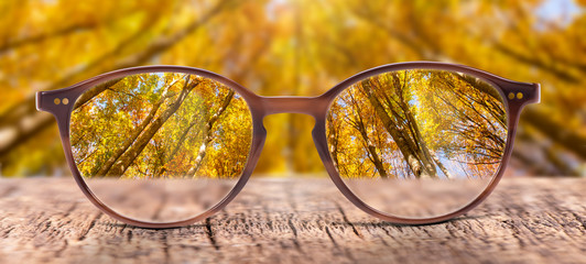 view through eyeglasses to nature