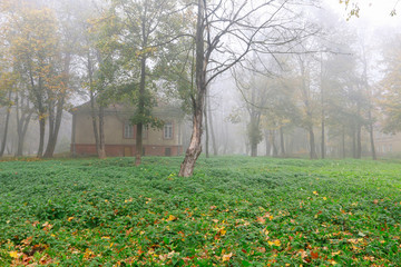 Canvas Print - Misty morning in the park. Old, abandoned house among trees.