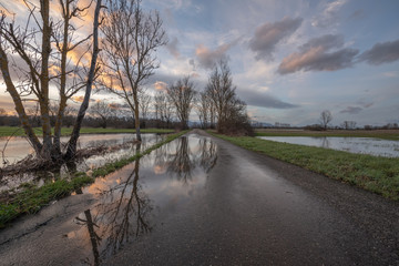 Poster - Paysage de plaine inondée au coucher du soleil