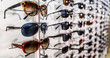 © Vadim - Sunglasses on display shelves in glasses store
