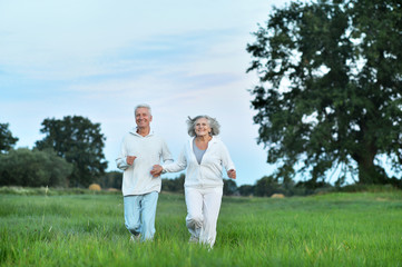 Canvas Print - Happy beautiful senior couple running in summer field