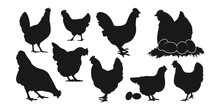 Silhouettes Of Hen Chicken. Chickens And Eggs.isolated On White Background.