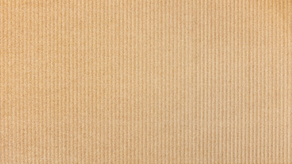 Paper cardboard background. Natural corrugated carton sheet. Kraft cardboard texture with vertical stripes.